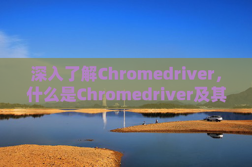 深入了解Chromedriver，什么是Chromedriver及其重要性